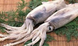 鱿鱼最新爆料图片,神秘图片揭示惊人内幕